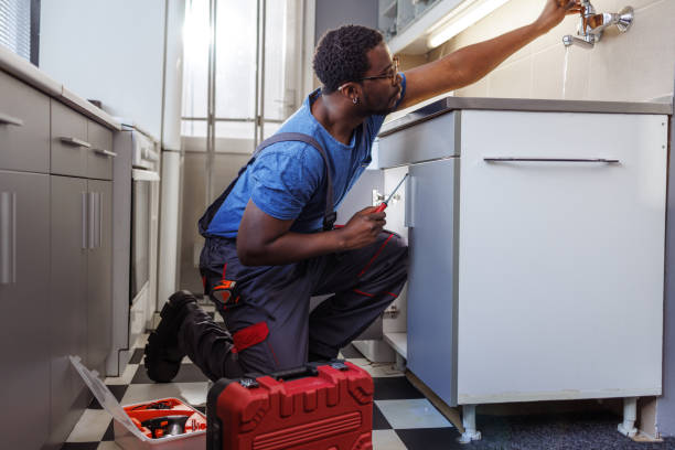 Best Plumbing Inspection Services  in Tierra Verde, FL